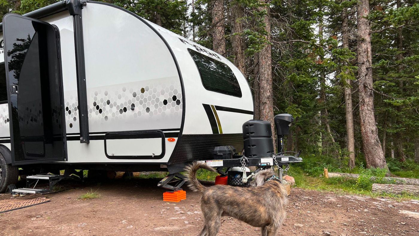 5 Tips for Boondocking With Dogs Boondockers
